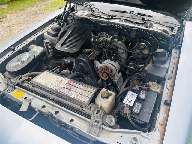 1987 Ford Thunderbird (CC-2100436) for sale in Saratoga Springs, New York