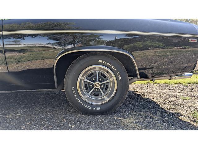 1969 Chevrolet Chevelle SS (CC-2104371) for sale in Erie, Colorado