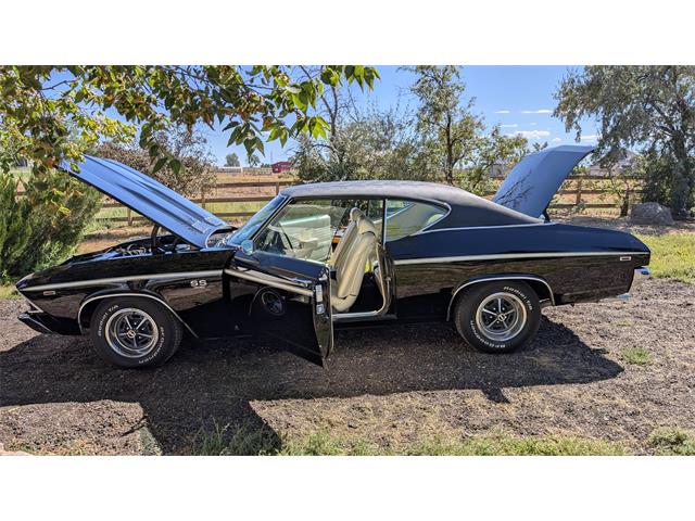 1969 Chevrolet Chevelle SS (CC-2104371) for sale in Erie, Colorado