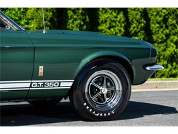 1967 Shelby GT350 (CC-2104384) for sale in Buford, Georgia