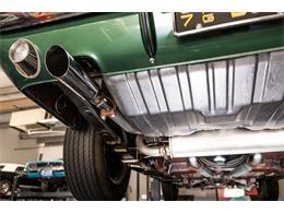 1967 Shelby GT350 (CC-2104384) for sale in Buford, Georgia