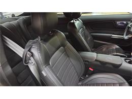 2020 Ford Mustang (CC-2104426) for sale in Mankato, Minnesota