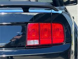 2005 Ford Mustang (CC-2104452) for sale in Depew, New York
