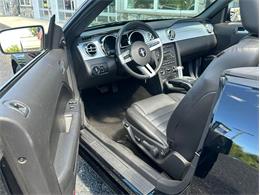 2005 Ford Mustang (CC-2104452) for sale in Depew, New York