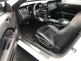 2008 Ford Mustang (CC-2104454) for sale in Saratoga Springs, New York