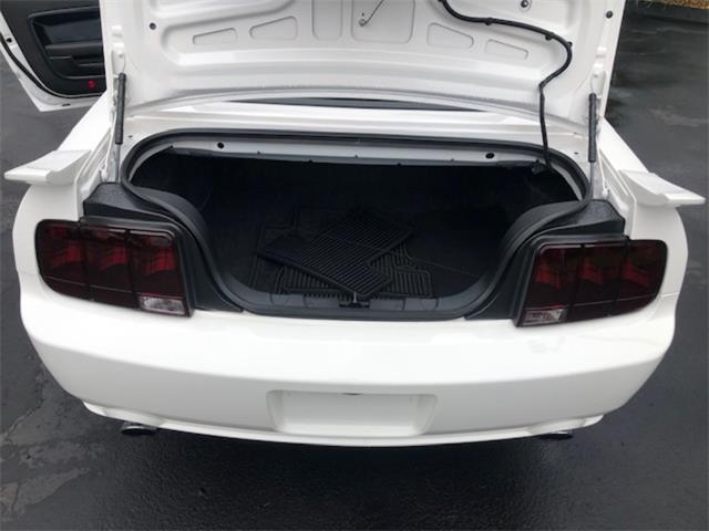 2008 Ford Mustang (CC-2104454) for sale in Saratoga Springs, New York