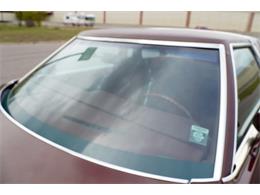 1979 Ford Thunderbird (CC-2104490) for sale in Ramsey, Minnesota