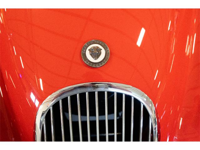 1954 Jaguar Roadster (CC-2100456) for sale in Saratoga Springs, New York
