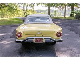 1957 Ford Thunderbird (CC-2104681) for sale in Washington, Michigan