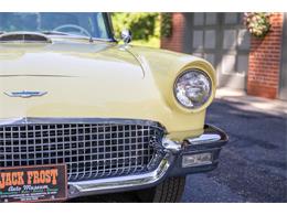 1957 Ford Thunderbird (CC-2104681) for sale in Washington, Michigan