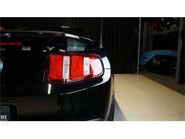 2011 Shelby GT500 (CC-2104685) for sale in Stratford, Ontario