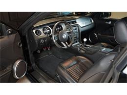 2011 Shelby GT500 (CC-2104685) for sale in Stratford, Ontario