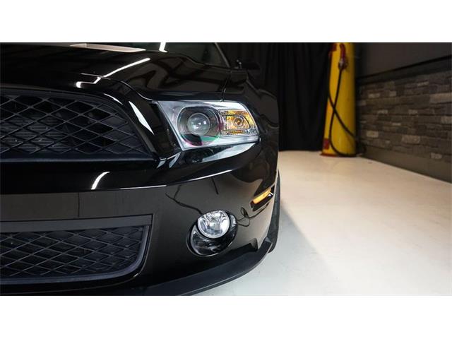 2011 Shelby GT500 (CC-2104685) for sale in Stratford, Ontario