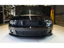 2011 Shelby GT500 (CC-2104685) for sale in Stratford, Ontario