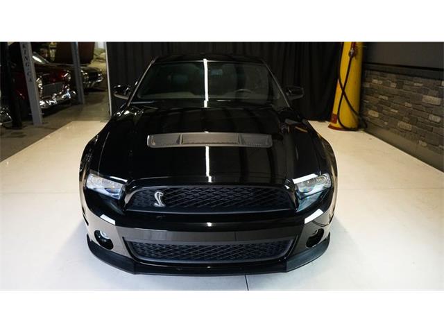 2011 Shelby GT500 (CC-2104685) for sale in Stratford, Ontario