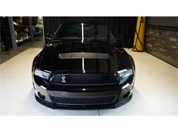 2011 Shelby GT500 (CC-2104685) for sale in Stratford, Ontario