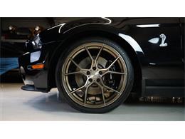 2011 Shelby GT500 (CC-2104685) for sale in Stratford, Ontario