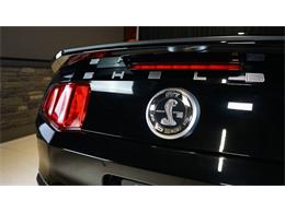 2011 Shelby GT500 (CC-2104685) for sale in Stratford, Ontario