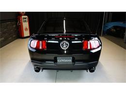 2011 Shelby GT500 (CC-2104685) for sale in Stratford, Ontario