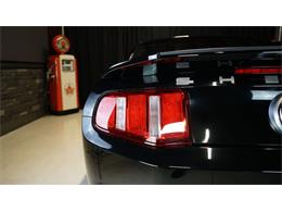 2011 Shelby GT500 (CC-2104685) for sale in Stratford, Ontario