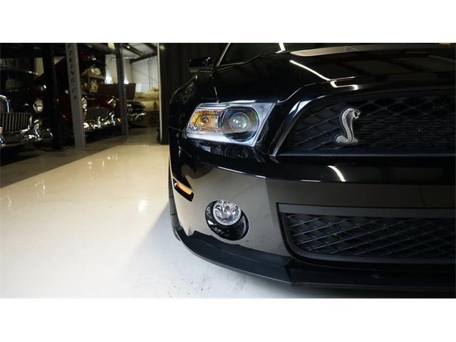 2011 Shelby GT500 (CC-2104685) for sale in Stratford, Ontario