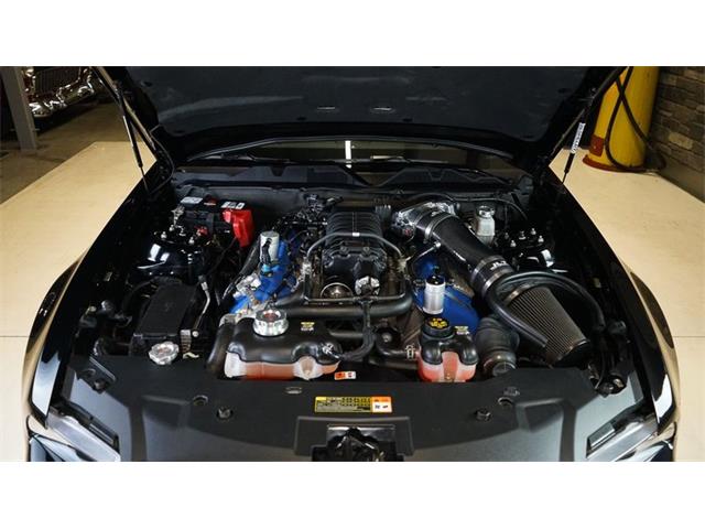 2011 Shelby GT500 (CC-2104685) for sale in Stratford, Ontario