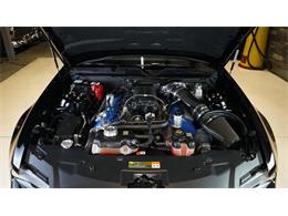 2011 Shelby GT500 (CC-2104685) for sale in Stratford, Ontario