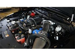 2011 Shelby GT500 (CC-2104685) for sale in Stratford, Ontario