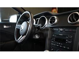2011 Shelby GT500 (CC-2104685) for sale in Stratford, Ontario