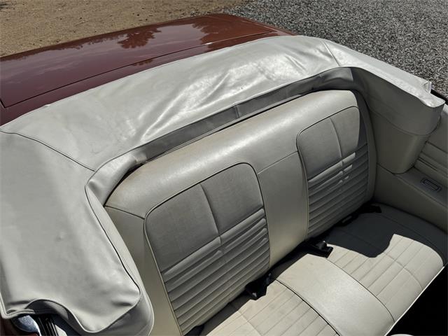 1971 Pontiac LeMans (CC-2104726) for sale in Yucca Valley, California