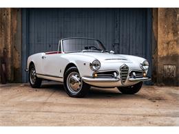 1966 Alfa Romeo Giulia Veloce (CC-2104729) for sale in Southampton, New York