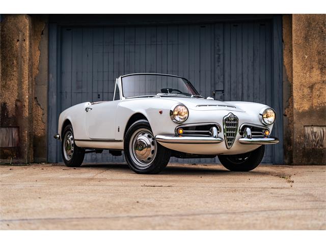 1966 Alfa Romeo Giulia Veloce (CC-2104729) for sale in Southampton, New York