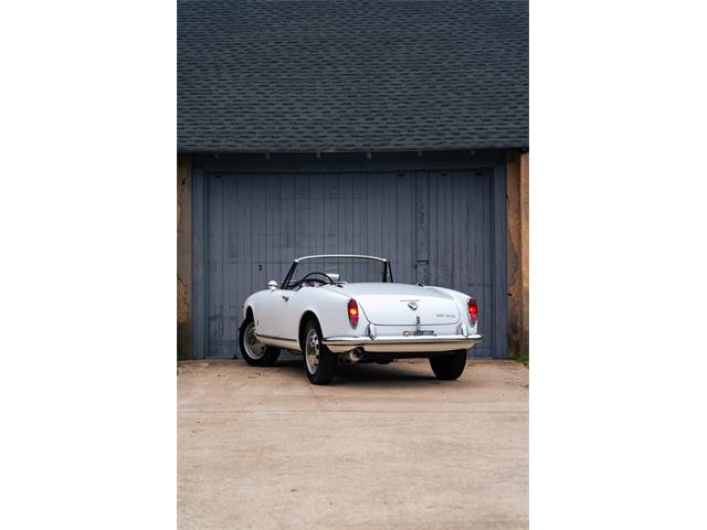 1966 Alfa Romeo Giulia Veloce (CC-2104729) for sale in Southampton, New York