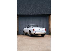 1966 Alfa Romeo Giulia Veloce (CC-2104729) for sale in Southampton, New York