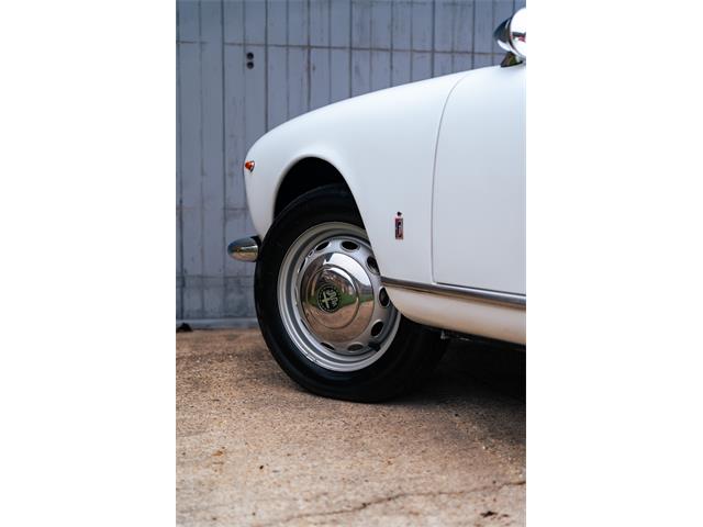 1966 Alfa Romeo Giulia Veloce (CC-2104729) for sale in Southampton, New York