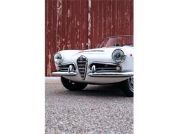 1966 Alfa Romeo Giulia Veloce (CC-2104729) for sale in Southampton, New York