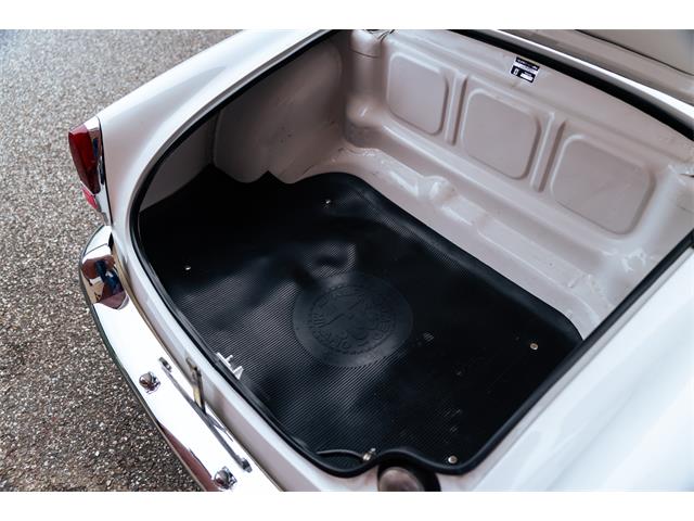 1966 Alfa Romeo Giulia Veloce (CC-2104729) for sale in Southampton, New York