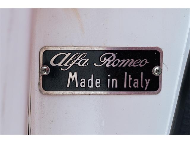 1966 Alfa Romeo Giulia Veloce (CC-2104729) for sale in Southampton, New York