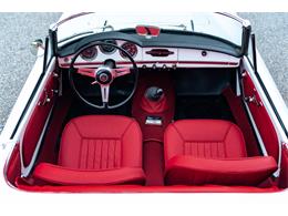 1966 Alfa Romeo Giulia Veloce (CC-2104729) for sale in Southampton, New York