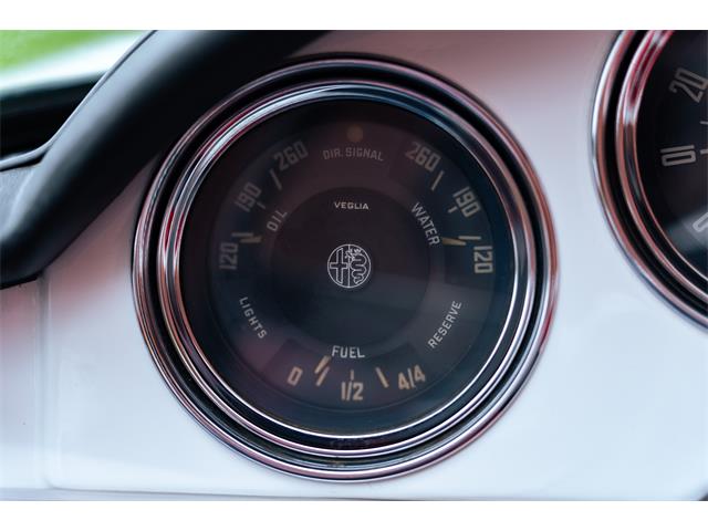 1966 Alfa Romeo Giulia Veloce (CC-2104729) for sale in Southampton, New York