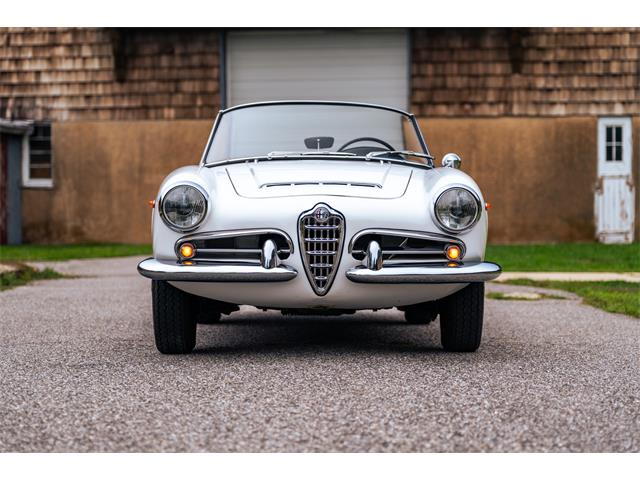 1966 Alfa Romeo Giulia Veloce (CC-2104729) for sale in Southampton, New York