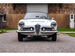 1966 Alfa Romeo Giulia Veloce (CC-2104729) for sale in Southampton, New York