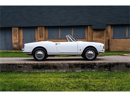 1966 Alfa Romeo Giulia Veloce (CC-2104729) for sale in Southampton, New York