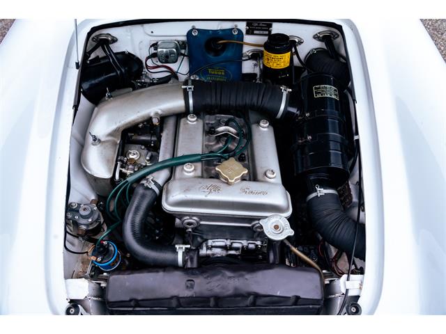 1966 Alfa Romeo Giulia Veloce (CC-2104729) for sale in Southampton, New York