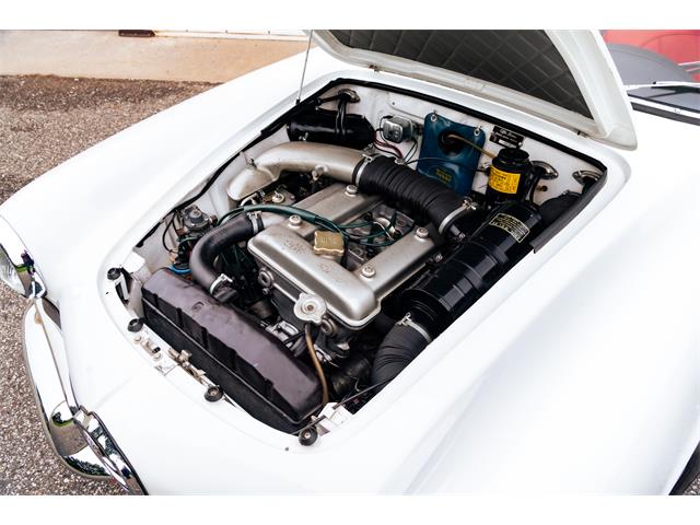 1966 Alfa Romeo Giulia Veloce (CC-2104729) for sale in Southampton, New York