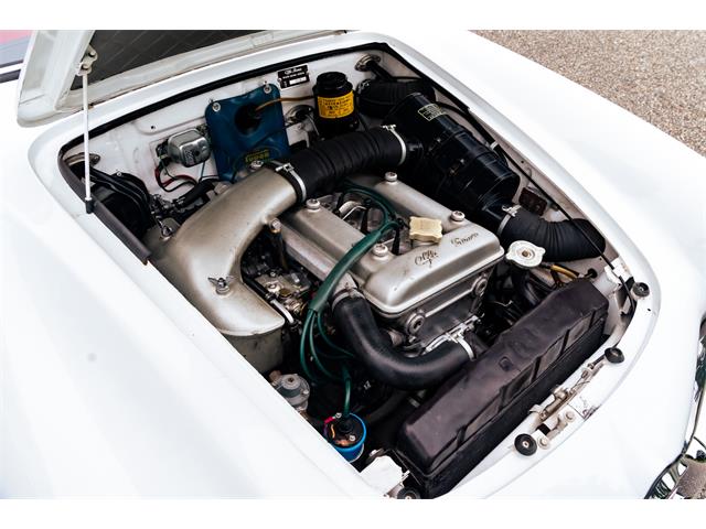 1966 Alfa Romeo Giulia Veloce (CC-2104729) for sale in Southampton, New York