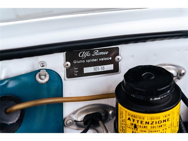 1966 Alfa Romeo Giulia Veloce (CC-2104729) for sale in Southampton, New York