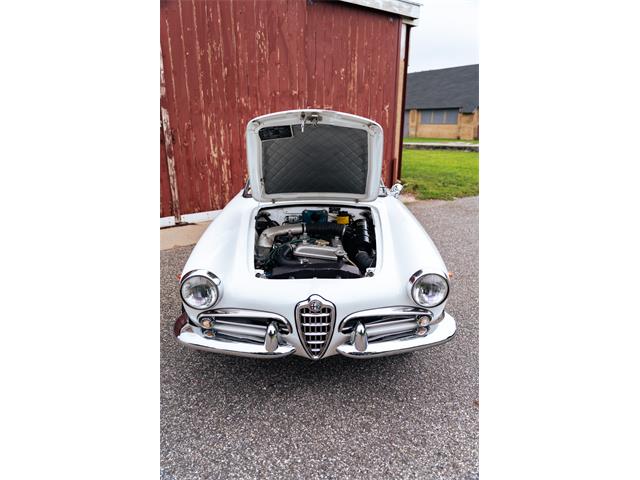 1966 Alfa Romeo Giulia Veloce (CC-2104729) for sale in Southampton, New York