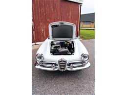 1966 Alfa Romeo Giulia Veloce (CC-2104729) for sale in Southampton, New York