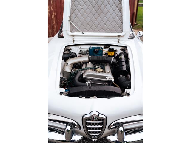 1966 Alfa Romeo Giulia Veloce (CC-2104729) for sale in Southampton, New York
